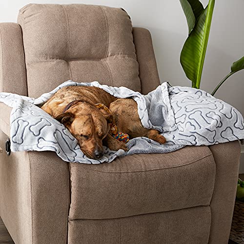 Bone Dry Embossed Bone Print Pet Blanket, 36x48", Gray - color: Gray