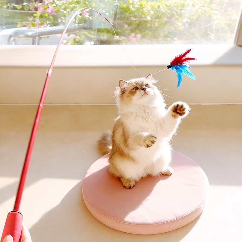 Vamelia Interactive Cat Toys Retractable Feather Toys Interactive Catcher Refills for Indoor Cats to Chase and Exercise