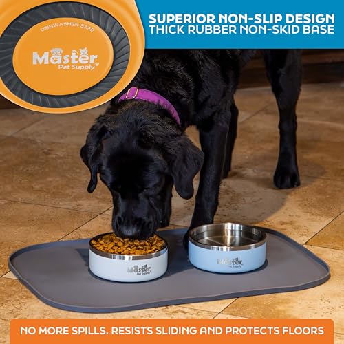 Master Pet Supply Stainless Steel Dog Bowls - 25 oz, Heavy Duty - Mango Tango, Double Wall Extra-Thick Insulated, Non-Slip Pet Water Bowl for Dogs, Cats & Pets, Anti Rust Metal, Dish Washer Safe - color: Mango Tango, size: 3 Cups (25 oz)