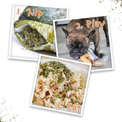 Doggijuana Refillable Juananip Toy Bundle | Squirrel Bundle | Funny Dog Toy Plush with Catnip and Refill | Calming Aid for Dogs | Interactive Chew Toy for Play - style: Squirrel