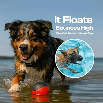 Squeaky Dog Toy – Durable Rubber Dog Ball for Medium & Large Dogs, Tough Interactive Fetch Toy for Chewers, Outdoor Training & Play Ball, Floating Water Play Gift.Red Black - color: Red Black