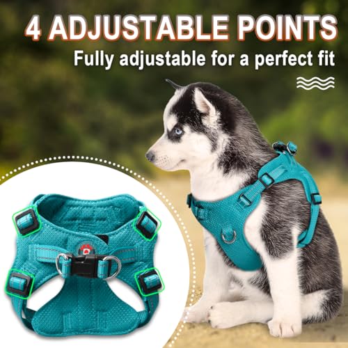 Dog Harness Step in Dog Vest Harness, Reflective Adjustable Puppy No Pull Harness Breathable Soft for Small and Medium Dogs Cats, Ocean Blue, XXS - color: Ocean Blue, size: XX-Small
