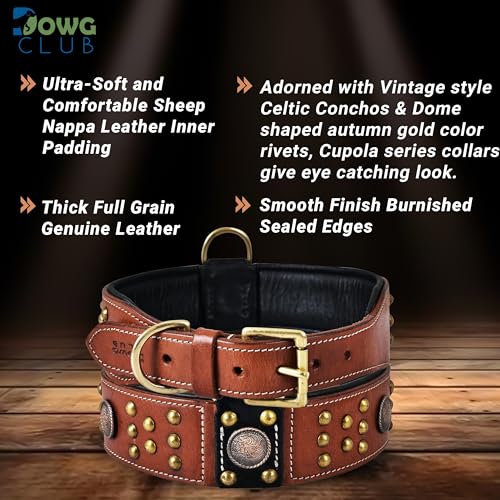 Genuine Leather ‘Cupola’ Series Dog Collar | Celtic Conchos & Gold Dome Rivets | Soft, Cushion Padding, Handmade | Best for Medium, Large, XL Breeds (M (Neck Size 14.5"-18.5"), Sienna Brown) - color: Sienna Brown, size: M (Neck Size 14.5"-18.5")