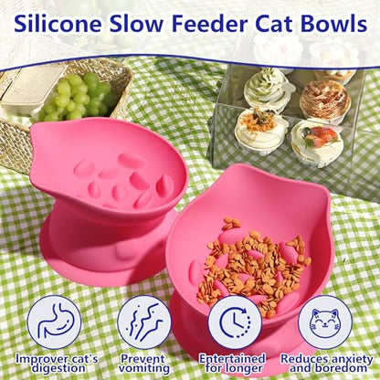 Slow Feed Cat Bowl, Elevated Cat Food Dish with Tilted Design, Dual-Use for Dry and Wet Food, Anti-Vomit, Anti-Choking, Easy to Clean - color: Pink, size: Big