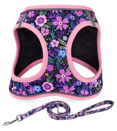 Step in Dog Harness and Leash Set, Reflective Adjustable No Pull Dog Harness for Extra-Small/Small Dogs Puppy and Cats, Soft Padded Mesh Vest Harnesses for Girl and Boy Pets(Pink Floral,S) - color: Pink Floral, size: S-Chest:14.2-17.3inch