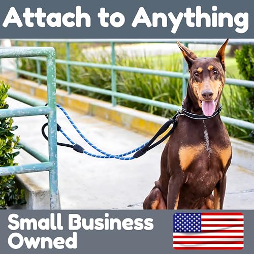 6 Foot Dog Leash, Two Extra Padded Handles, Locking Carabiner Clip, Reflective for Night Visibility, Weatherproof, Heavy Duty Rope Leash, Roam Gear (Blue) - color: Blue