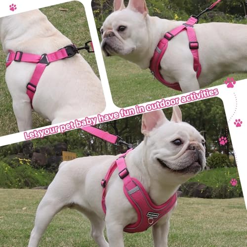 Dog Harness and Leash Set, Adjustable Triangle, Reflective Adjustable Puppy Vest, No Pull Soft Mesh Harness for Small, Medium Dogs, Cats (Fuchsia, XL) - color: Fuchsia, size: XL