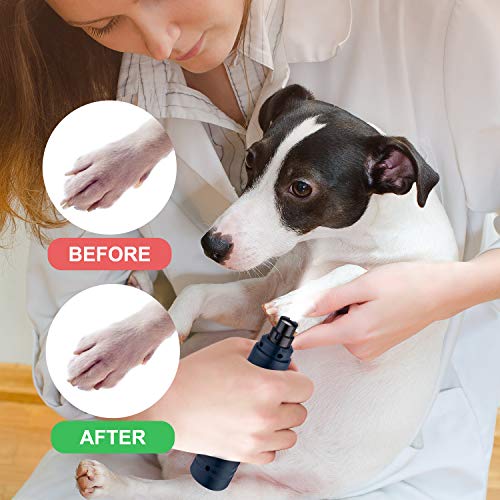 Casfuy Dog Nail Grinder with LED Light - Upgraded 2-Speed Electric Pet Nail Trimmer Powerful Painless Paws Grooming & Smoothing for Small Medium Large Dogs & Cats (Dark Blue) - color: Dark Blue
