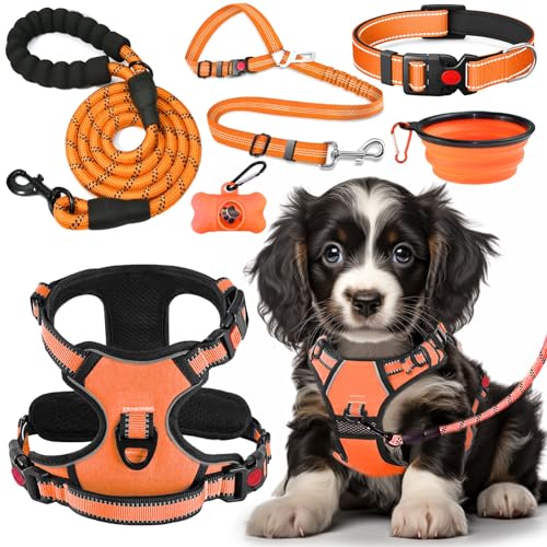 LOBEVE No Pull Dog Harness, Collar & Leash Set | Includes Dog Seat Belt, Collapsible Bowls & Poop Bag Dispenser. Ideal for Training, Walking, Hiking. Fits Small to Large Dogs(Orange-S) - color: Orange, size: Small