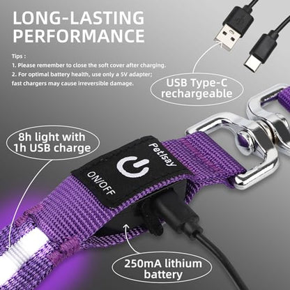 Light up Dog Leash for Night Walking - USB C Rechargeable - Waterproof - Dog Leashes with Flashlight - LED Leash for Dogs - 6Ft, Blue - color: Blue
