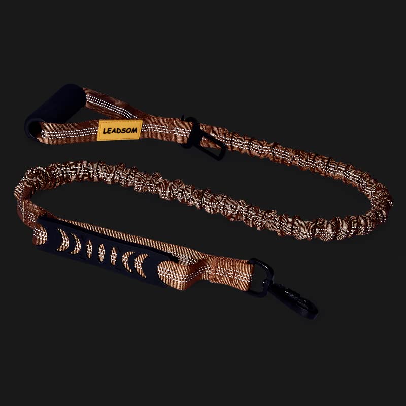 6FT Highly Reflective Heavy Duty Elastic Bungee Medium and Large Dog Leash Shock Absorbing with Comfortable Padded Handle and Traffic Handle Suitable for Training - color: Chocolate Brown