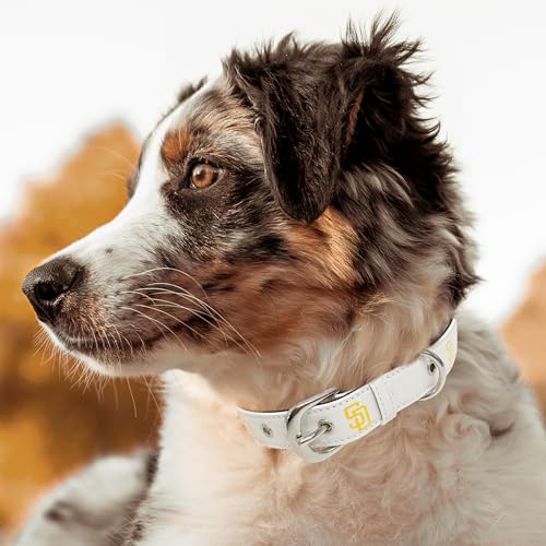MLB Dog Collar SAN Diego Padres New Signature PRO PVC-Leather Premium Pet Collars Extra Tough & Durable! Super Stylish! Size: Medium Adjustable 16-20" Length x 1" Width - color: San Diego Padres, size: Medium