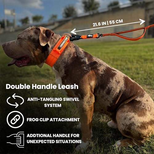 BULLYBREED | Heavy Duty Dog Leash, Tactical Dog Leash, Quick Release Frog Clip with Anti-Tangling Swivel System for Large Dogs that Pull with Soft Double Handles (5 FT Long, Maroon Red) - color: Maroon Red Double Handle