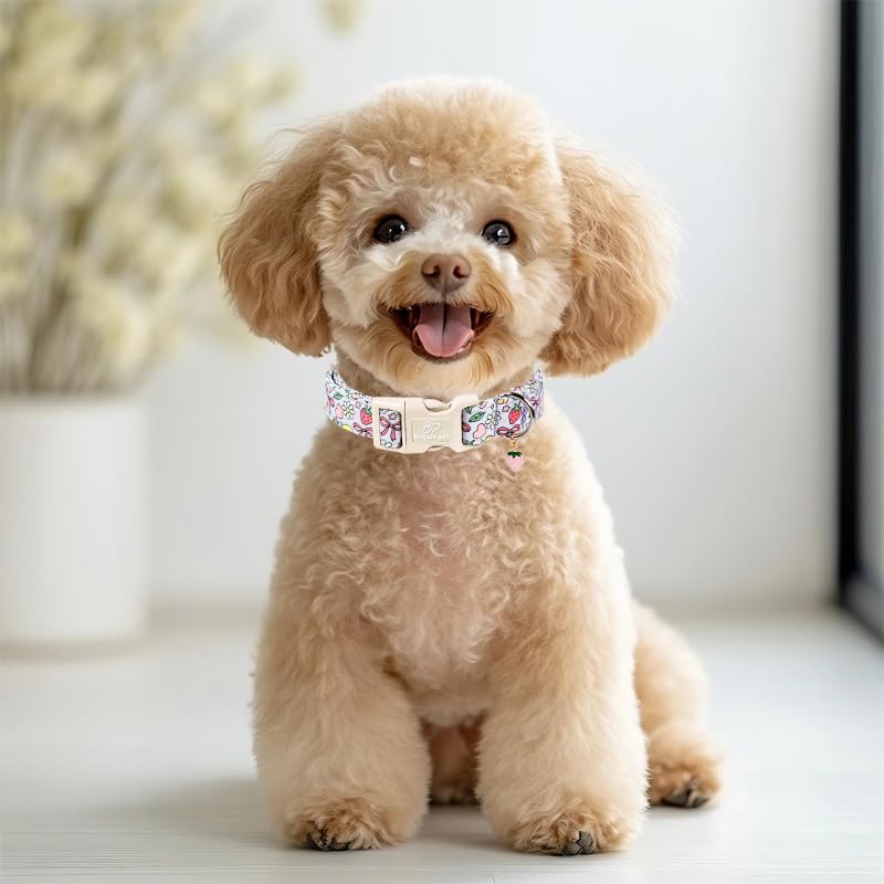 Summer Dog Collar Cute Lavender Dog Collars for Puppy Small Dogs - Lightweight Adjustable Fruit Printed Female Dogs Everyday Collar with Safety Buckle XS - color: Fruit Garden, size: XS