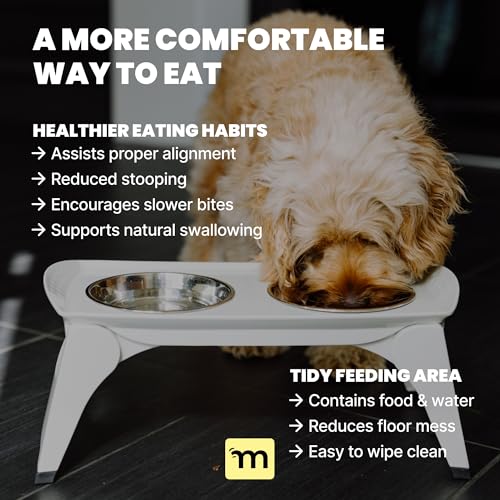 MalsiPree Elevated Dog Bowls for Small Dogs - 6.5" Raised Dog Bowl Stand with Splash Guard - Portable Folding Pet Feeding Station with 2 Stainless Steel Bowls - Travel Road Trip Foldable Collapsible - size: Medium