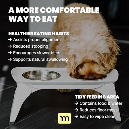 MalsiPree Elevated Dog Bowls for Small Dogs - 6.5" Raised Dog Bowl Stand with Splash Guard - Portable Folding Pet Feeding Station with 2 Stainless Steel Bowls - Travel Road Trip Foldable Collapsible - size: Medium