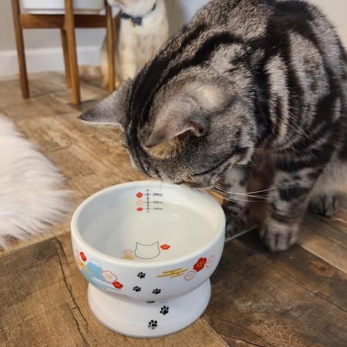 Necoichi Elevated Cat Water Bowl – Ceramic Raised Cat Bowl, Prevents Neck & Whisker Fatigue – Dishwasher & Microwave Safe – Pet Water Bowl for Cats (Fuji, Regular) - style: Fuji