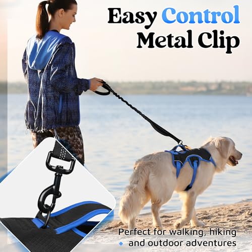 rabbitgoo Escape Proof Dog Harness Large Dogs, Soft Padded Full Body Pet Harness, Reflective Adjustable No Pull Vest with Lift Handle and Leash Clip for Walking Hiking Training, Blue & Black, M - color: Blue & Black, size: Medium (Pack of 1)