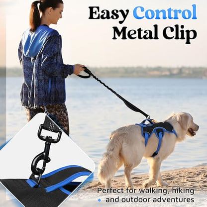 rabbitgoo Escape Proof Dog Harness Large Dogs, Soft Padded Full Body Pet Harness, Reflective Adjustable No Pull Vest with Lift Handle and Leash Clip for Walking Hiking Training, Blue & Black, M - color: Blue & Black, size: Medium (Pack of 1)