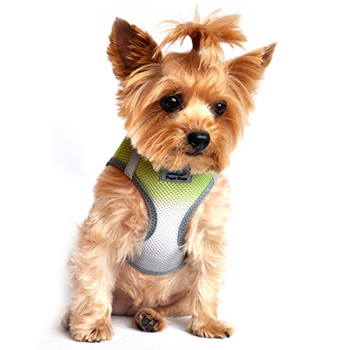 American River Dog Harness Ombre Collection - Limestone Gray XXS - color: Limestone Gray, size: XX-Small