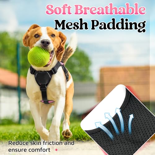 rabbitgoo Escape Proof Dog Harness Small Sized Dog, Soft Padded Full Body Pet Harness, Reflective Adjustable Vest with Lift Handle and Leash Clip for Walking Hiking Training, Light Pink, S - color: Light Pink, size: Small (Pack of 1)
