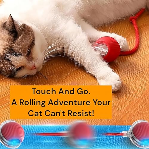 Interactive Electric Automatic Rolling Moving Rechargeable Self Play Stimulation Toy,Smart Pet Chase with Speedy Tail Rope for Bored Indoor Cats (Pink) - color: PINK