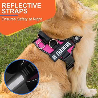 Essential Dog Harness, No Pull Pet Harness with 3 Side Rings for Leash Placement, No Choke, Reflective, Adjustable Pet Vest, Easy On-Off & Improved Control Handle, Training, Walking, Running - size: S(Neck:14-18",Chest:16-21")