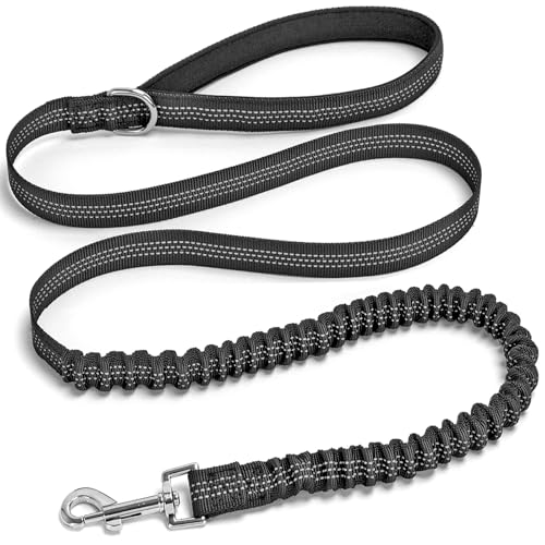 Bungee Dog Leash- 5FT Shock Absorbing & Reflective Nylon Leash| Anti-Pull Training for Small/Medium Dogs | 2cm Wide, 6 Colors (Black) - color: Black