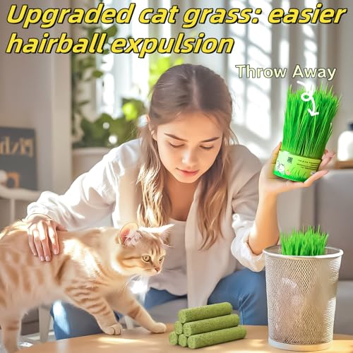 Cat Toys 17Pack 100g Catnip Grass Teething Stick for Hairball Removal Kitten Toy Freeze Dried Chew Dental Food for Indoor Kitty Lickable Edible Snack - size: 17Pack