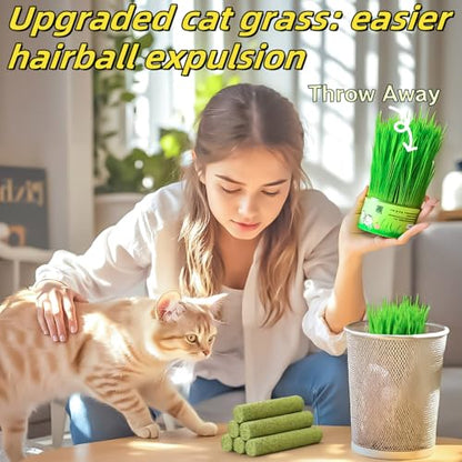 Cat Toys 17Pack 100g Catnip Grass Teething Stick for Hairball Removal Kitten Toy Freeze Dried Chew Dental Food for Indoor Kitty Lickable Edible Snack - size: 17Pack