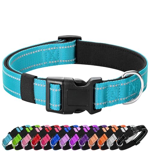 Reflective Dog Collar Padded with Soft Neoprene Breathable Quick Release Basic Dog Collars for Puppy Small Dogs Sky Blue - color: Sky Blue, size: XS:width 5/8"neck 8-10.5"