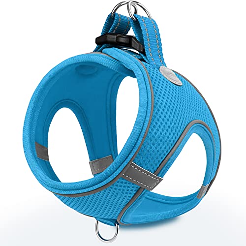 Joytale Small Dog Harness, Breathable Mesh Step-in Vest, Reflective Soft Padded Harnesses for Cats and Puppies Dogs, Sky Blue, XXXS - color: SkyBlue, size: XXXS--Chest: 10.5-12''