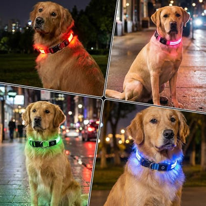 Neon LED Light Up Dog Collar for Night Walking, Rechargeable Safety Glow Illuminated Collar with 3 Modes Flashing, Reflective Adjustable Pet Light for Small/Medium Dogs Puppy 15-19" Neck (Blue) - color: 1-Pack(Blue)&Medium