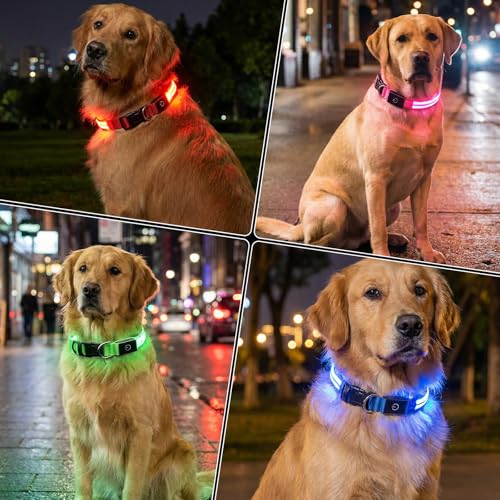 Neon LED Light Up Dog Collar for Night Walking, Rechargeable Safety Glow Illuminated Collar with 3 Modes Flashing, Reflective Adjustable Pet Light for Small/Medium Dogs Puppy 15-19" Neck (Green) - color: 1-Pack(Green)&Medium