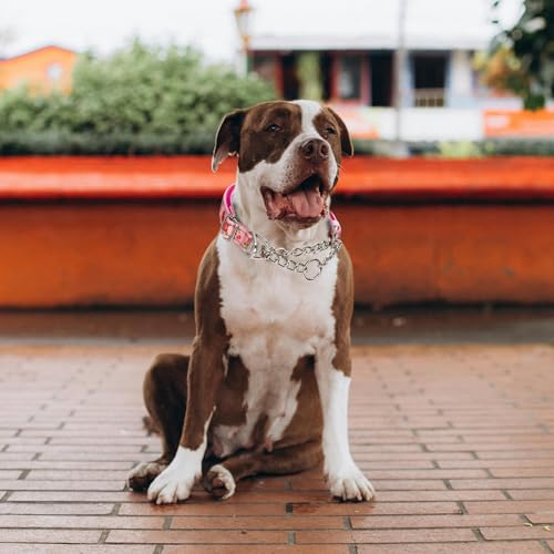 Rose Flower Pattern Martingale Collar, Reflective No-Pull Adjustable Dog Training Collar with Chain for Medium, Large & XL Breeds(Medium Rose) - color: 15, size: M(Neck12"-17")