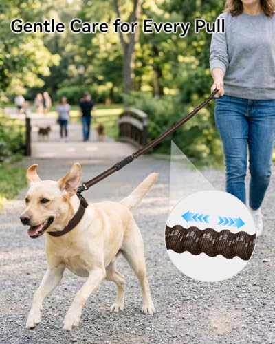 Joytale Tactical Dog Leash Heavy Duty, 4-6FT Shock Absorbing Bungee Lead with 2 Padded Handle, Metal Carabiner Clip, Car Seatbelt, Strong No Pull Leash for Medium Large X-Large Dogs, Brown - color: Brown