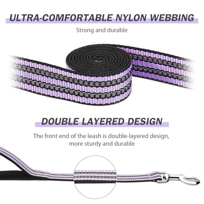 Hikiko 6 FT Heavy Duty Dog Leash with 2 Padded Handles,Traffic Handle & Advanced Easy Snap Hook,Reflective Walking Lead for Small Medium and Large Dogs (Lavender) - color: Lavender, size: 1 in x 6 ft