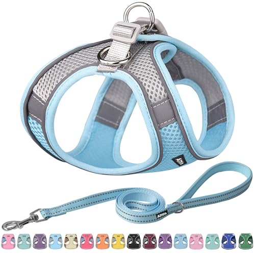 AIITLE Dog Harness, No-Pull Cat Harness with a Leash, Adjustable Reflective Dog Vest, Cat Harness Escape Proof, Outdoor Walking, Running,Training for Extra Small Dogs and House Cats Blue XXXS - color: Blue, size: XXXS(Chest: 8.5 - 10")