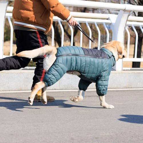 ArmyGreen Dog Jumper, Windproof, Reflective - Dirigible Winter Jacket for S, M, L - Zip, Adjustable Sizes - color: Armygreen, size: S (11inch Back)