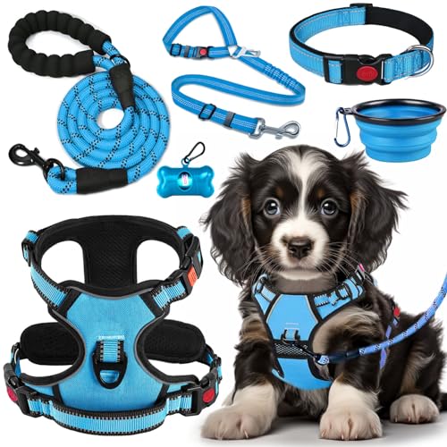 LOBEVE No Pull Dog Harness, Collar & Leash Set with Retractable Dog Seat Belt, Collapsible Dog Bowls and Poop Bag Dispenser - Ideal for Training, Walking, Hiking - Fits Small to Large Dogs(Blue-M) - color: Blue, size: Medium