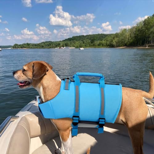 Queenmore Large Dog Swimming Life Jacket with Back Zip, Rescue Handle, Hook (Blue L) - color: Blue, size: Large