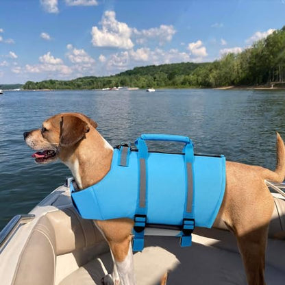 Queenmore Large Dog Swimming Life Jacket with Back Zip, Rescue Handle, Hook (Blue L) - color: Blue, size: Large