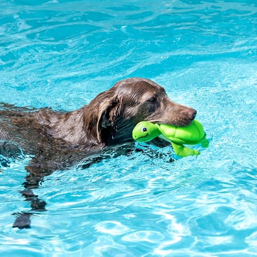 Fringe Studio Snappy Floating Dog Toys, Pet Shop Collection (640008) - color: Snappy