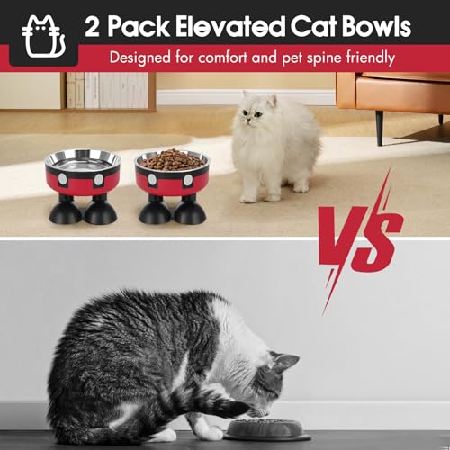 Elevated Cat Food Water Bowls,2 Pack Raised Cat Dog Bowls with Stand,Stainless Steel Cute Cat Dishes for Cats Dogs Kitten Puppies Small Pets Feeding Non-Slip Base