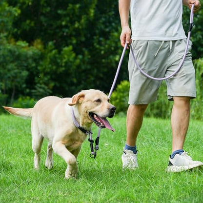 Rope Dog Leash with Two Handles, 6 Foot Heavy Duty Dog Leash with Aviation Aluminum Auto Locking Carabiner, Strong Nylon Pet Lead for Small, Medium, Large Dogs (Black, 6FT-Two Handle) - color: Black, size: 6 Foot Two Handle