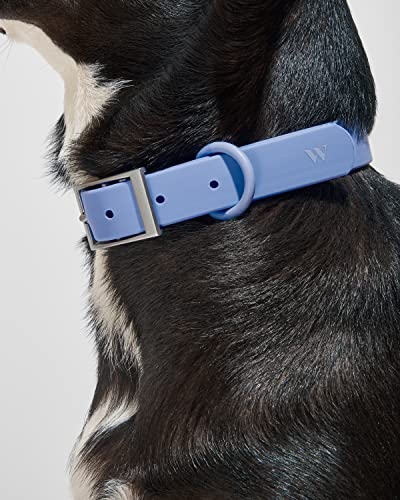 Wild One Dog Collar, Easy-Clean, All Weather Flex-Poly Strap with Metal, Durable, Dirt and Odor Resistant (Moonstone, XS) - color: Moonstone, size: XS