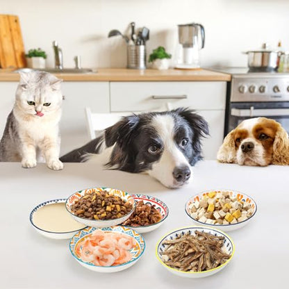 Foraineam 6 Pack 5.5 inch Wide Shallow Cat Food Bowl Set Ceramic Cat Bowls, 8oz Whisker Friendly Cat Dishes, Colorful Kitten Feeding Bowls for Food and Water, Microwave and Dishwasher Safe