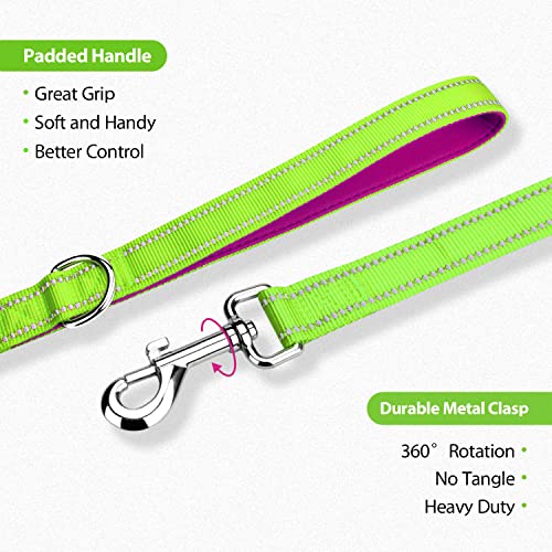 PHOEPET 5 Feet Dog Leash with Comfortable Padded Handle Easy Snap Clasp - Reflective Walking Lead for Large, Medium & Small Breed Dogs (Green + Purple Base) - color: Green + Purple Base