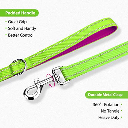 PHOEPET 5 Feet Dog Leash with Comfortable Padded Handle Easy Snap Clasp - Reflective Walking Lead for Large, Medium & Small Breed Dogs (Green + Purple Base) - color: Green + Purple Base