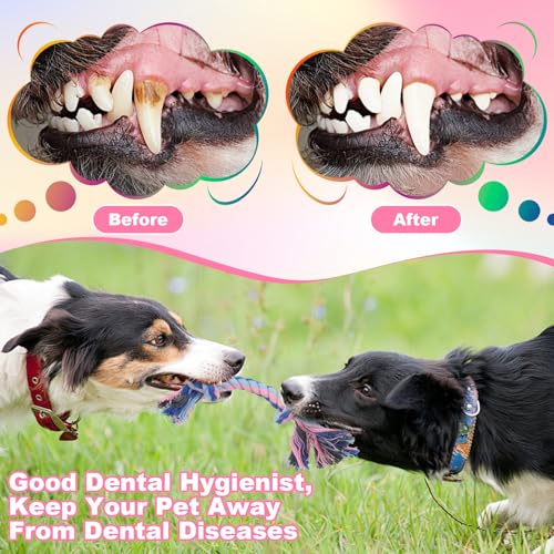 Dimeho 48 PCS Puppy Chew Toy Dog Rope Toys Cotton Knot Teething Toy Tug of War Dog Interactive Toys Multi Color for Small and Medium Dogs Newborn Pet Boredom Teeth Cleaning